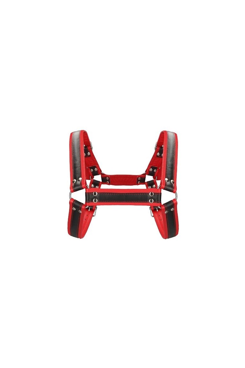 OU562RED_--_000_50927_.jpg